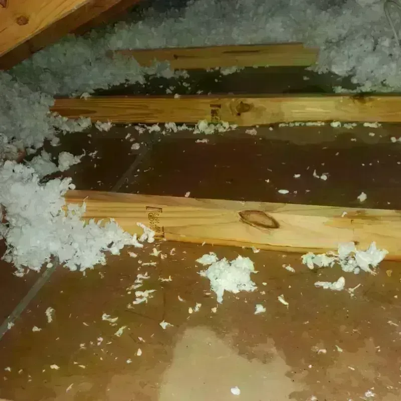 Attic Water Damage in Marshall, IL