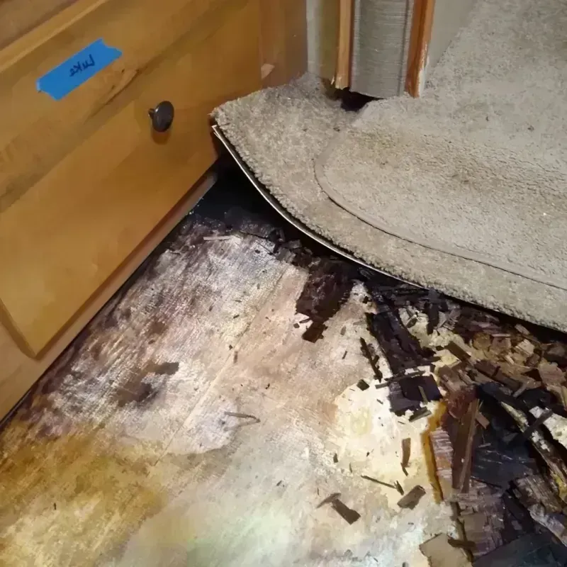 Wood Floor Water Damage in Marshall, IL